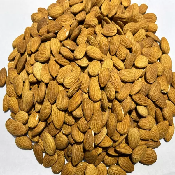 Organic Almonds Variety Non Pareil