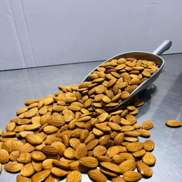 Organic Almonds Variety Non Pareil